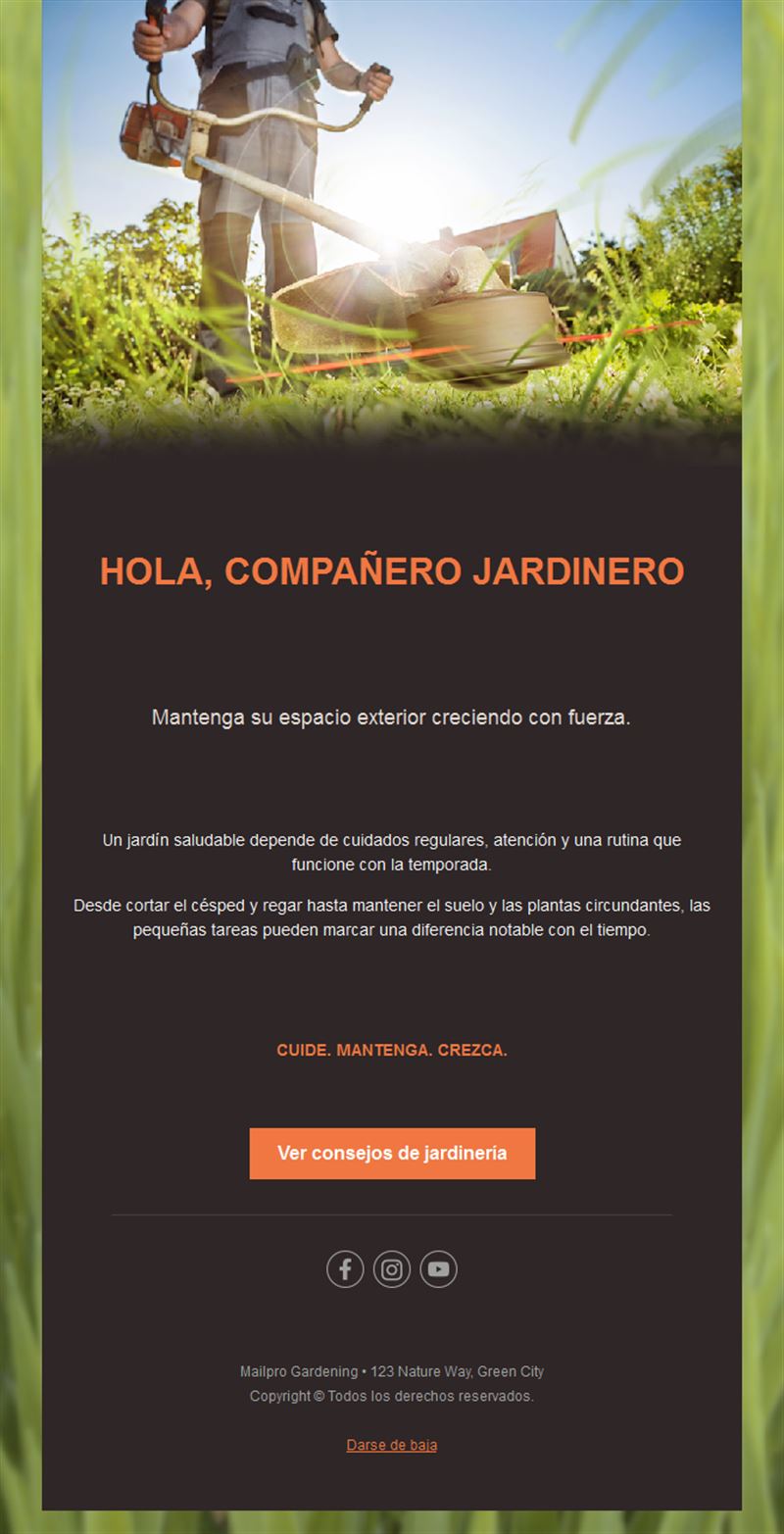 Email de cuidado del césped