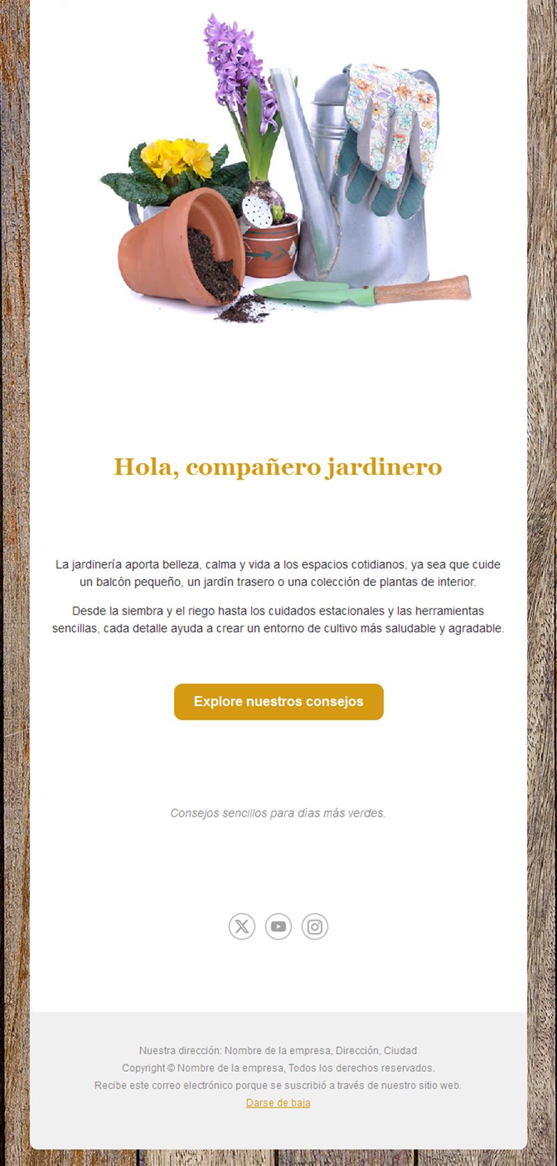 Email de consejos de jardinería con herramientas