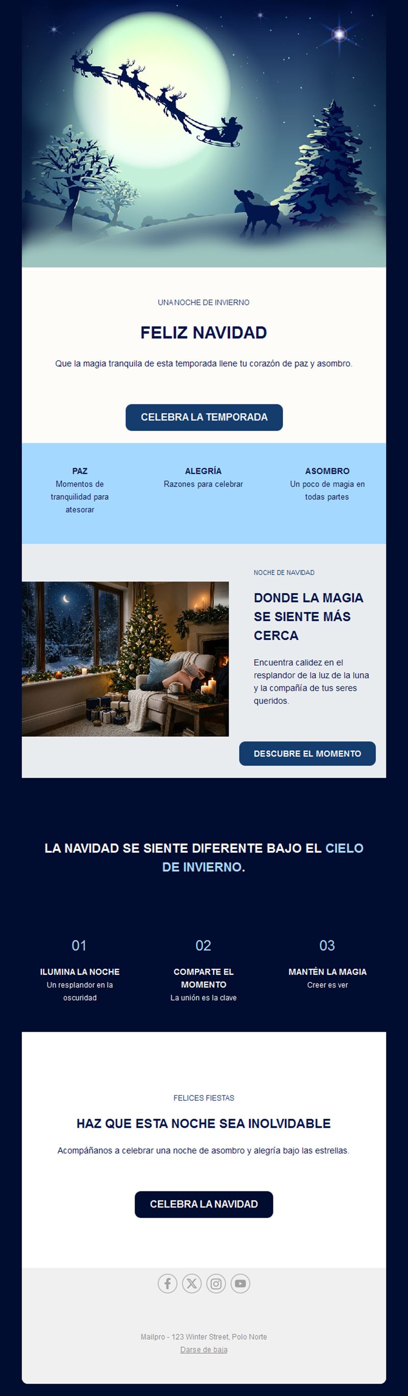 Newsletter navideña de noche de invierno