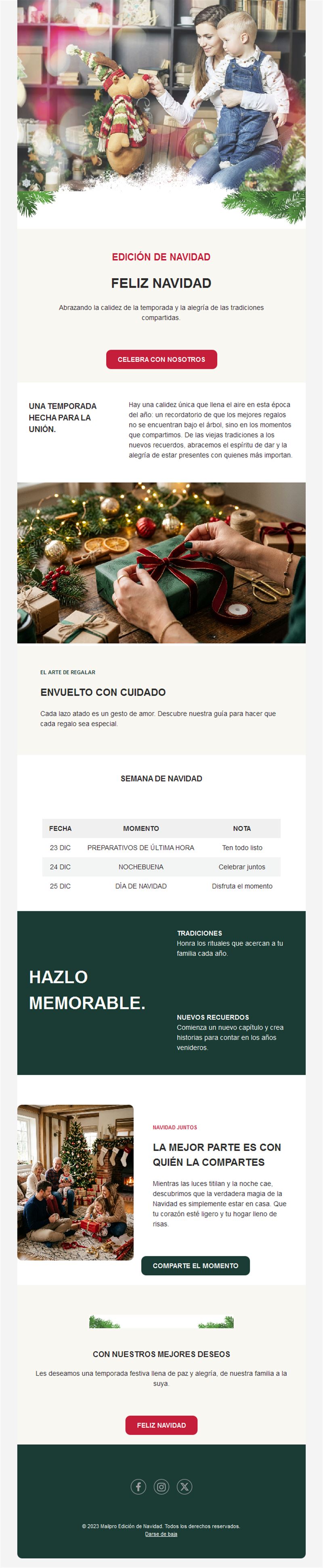 Newsletter navideña familiar