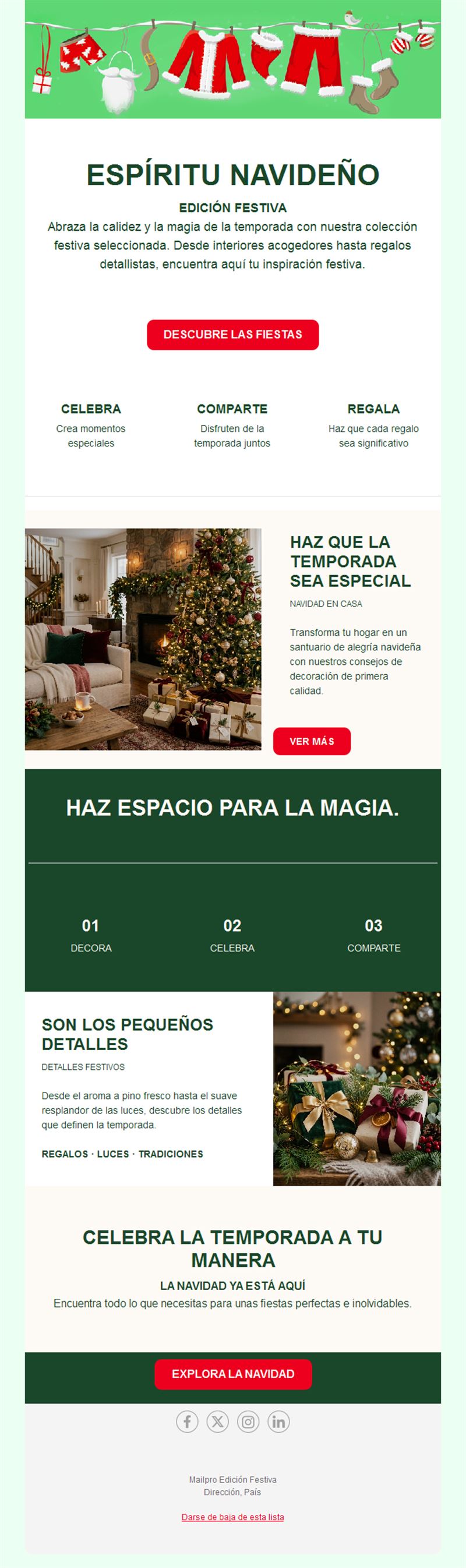 Newsletter navideña de decoración del hogar
