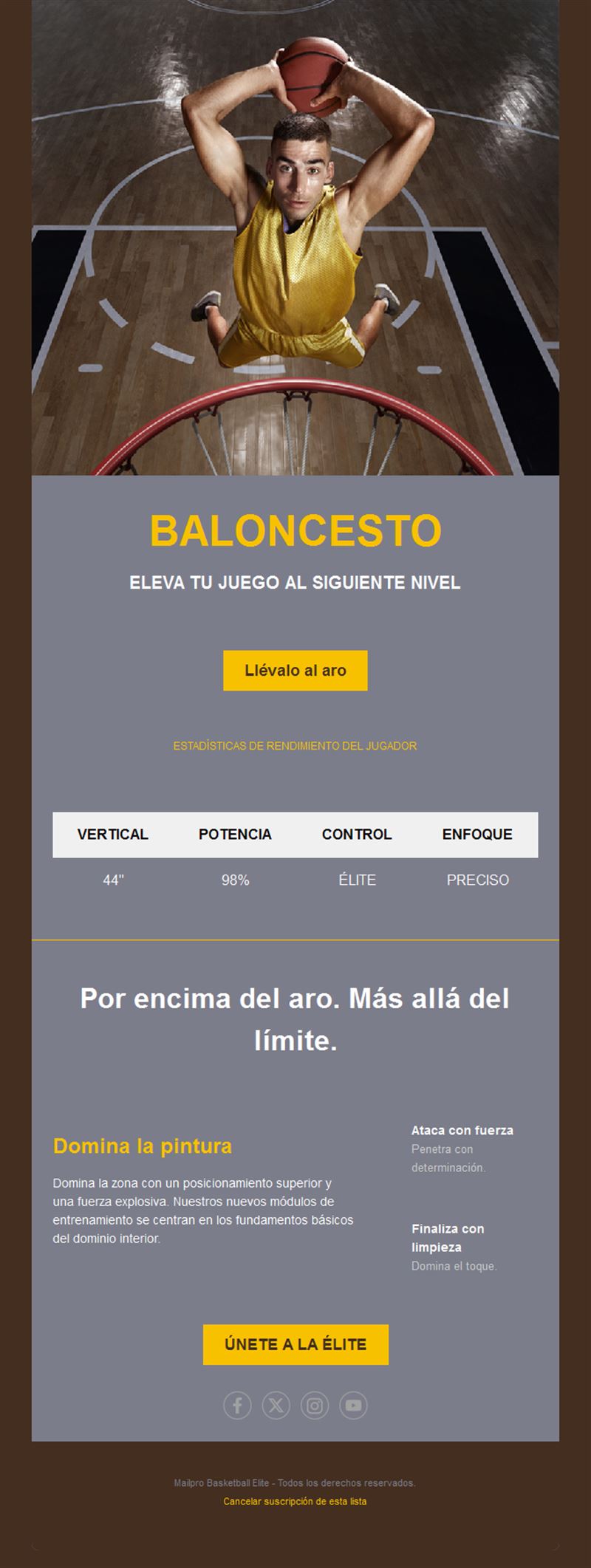 Email de programa de baloncesto de élite