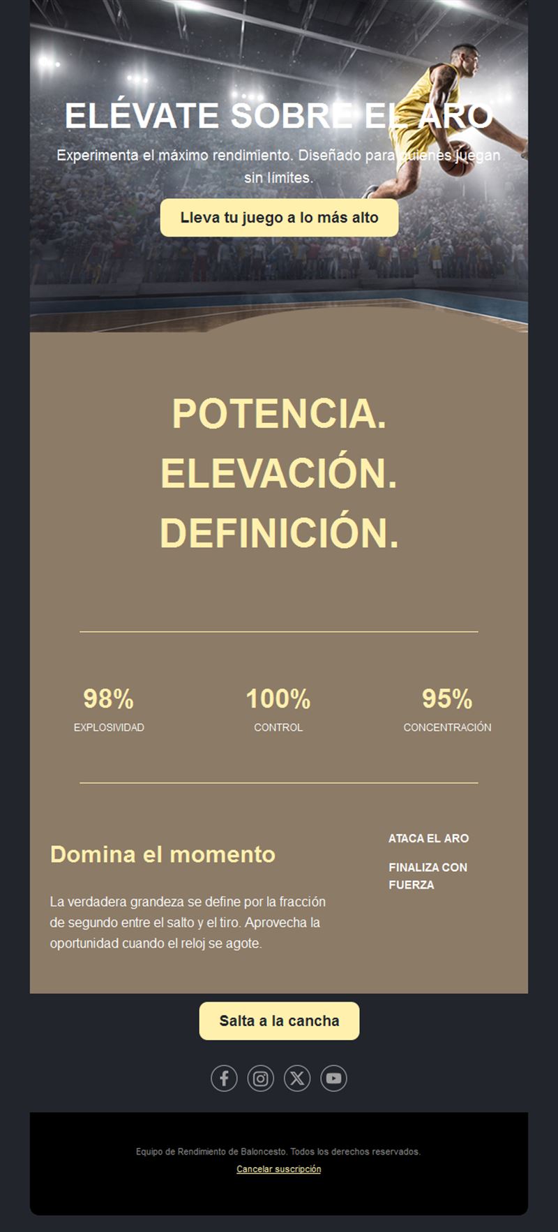 Email de estadísticas de rendimiento
