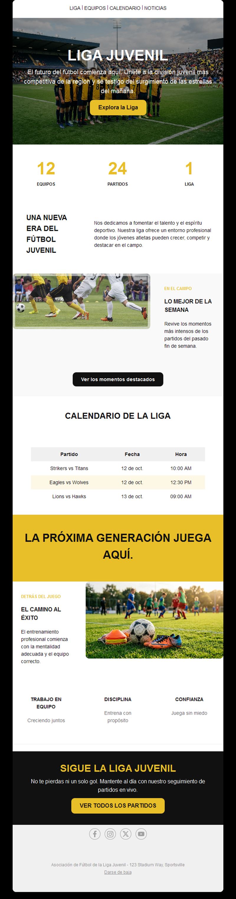 Email de liga de fútbol juvenil