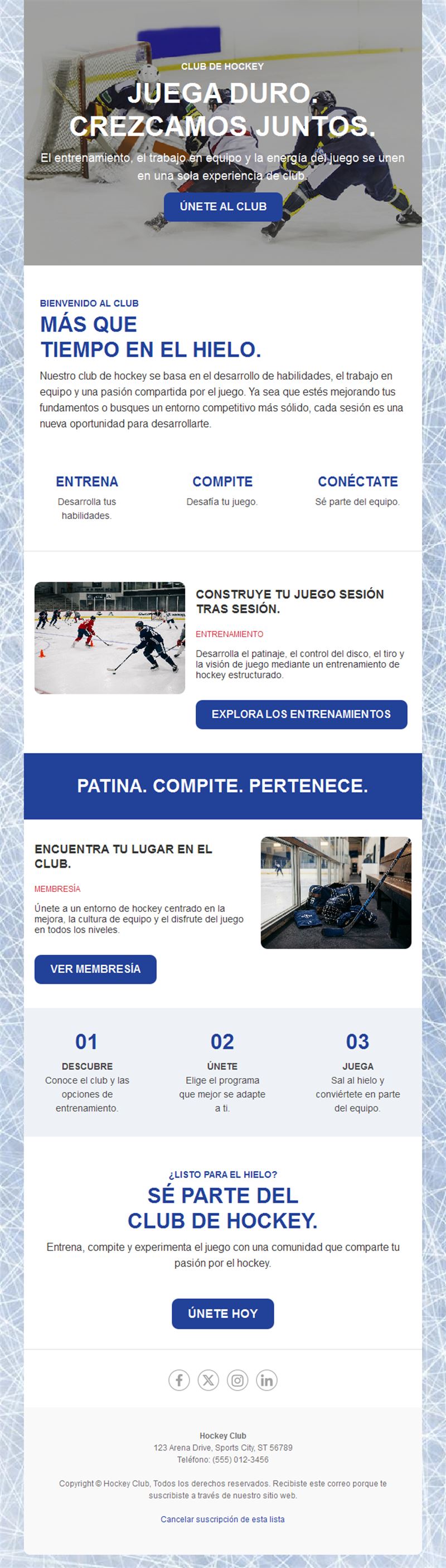 Newsletter de socios de club de hockey