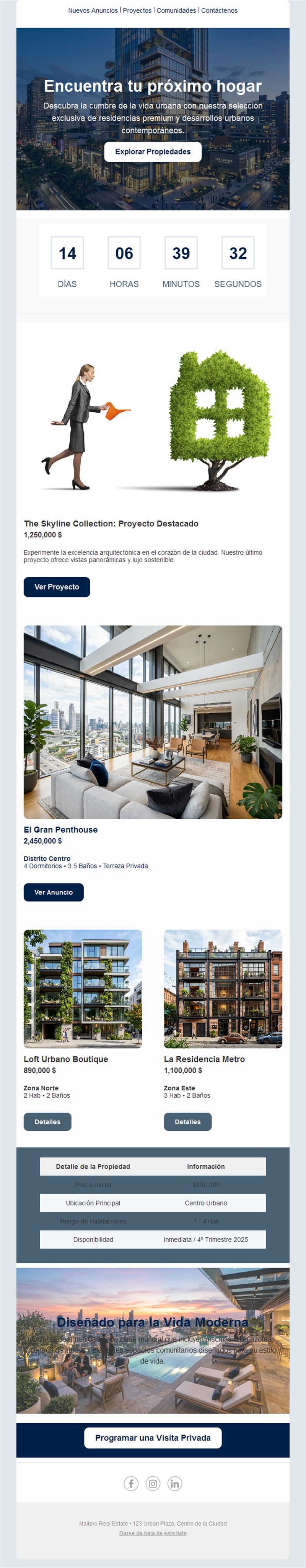 Email inmobiliario de obra nueva