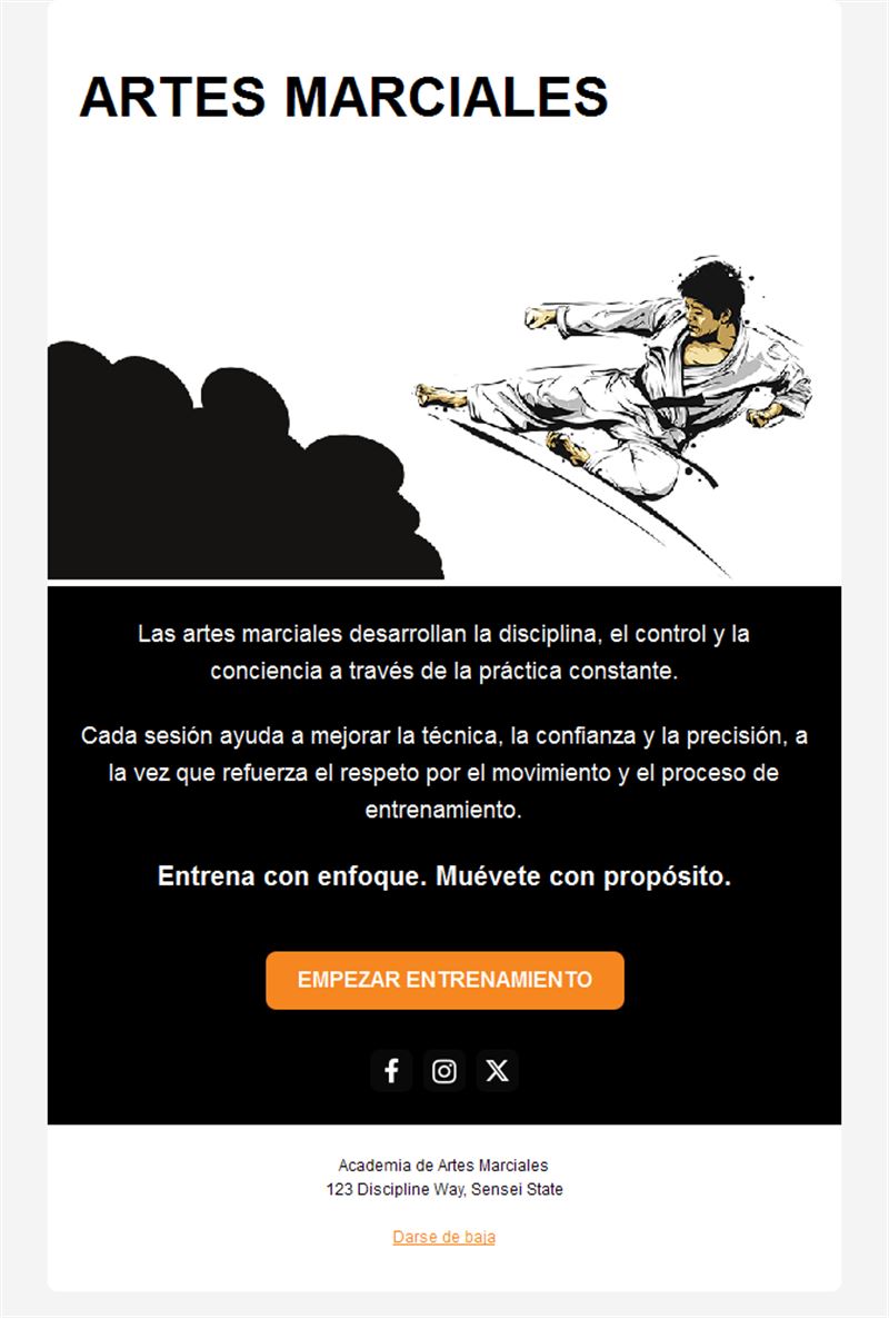 Email ilustrado de artes marciales