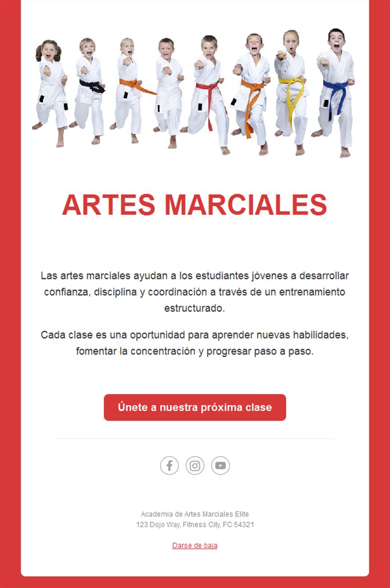 Email de clases de kárate para niños