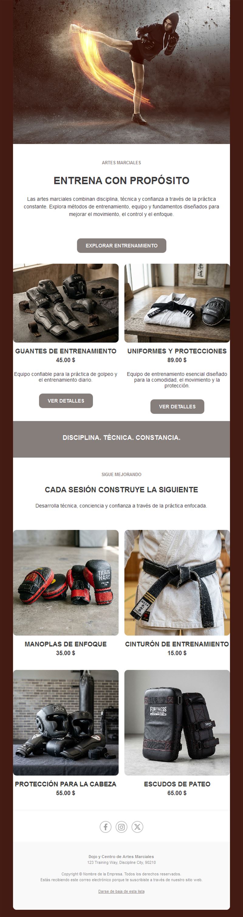 Newsletter de tienda de artes marciales