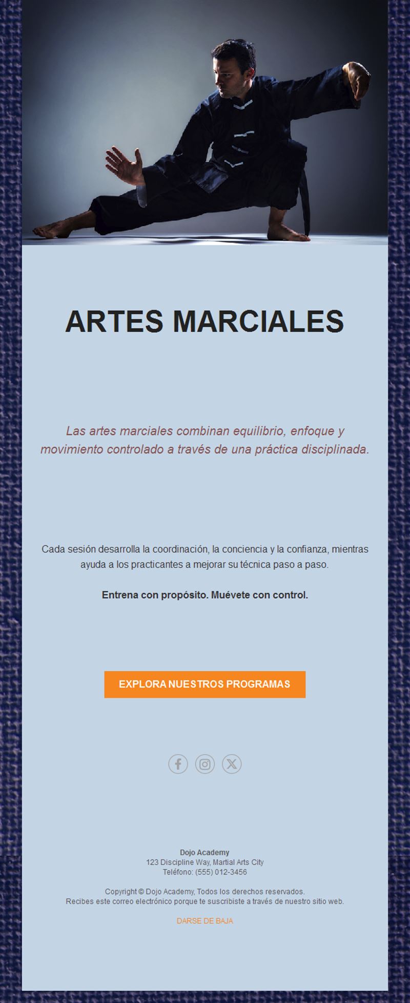 Email de programas de kung fu