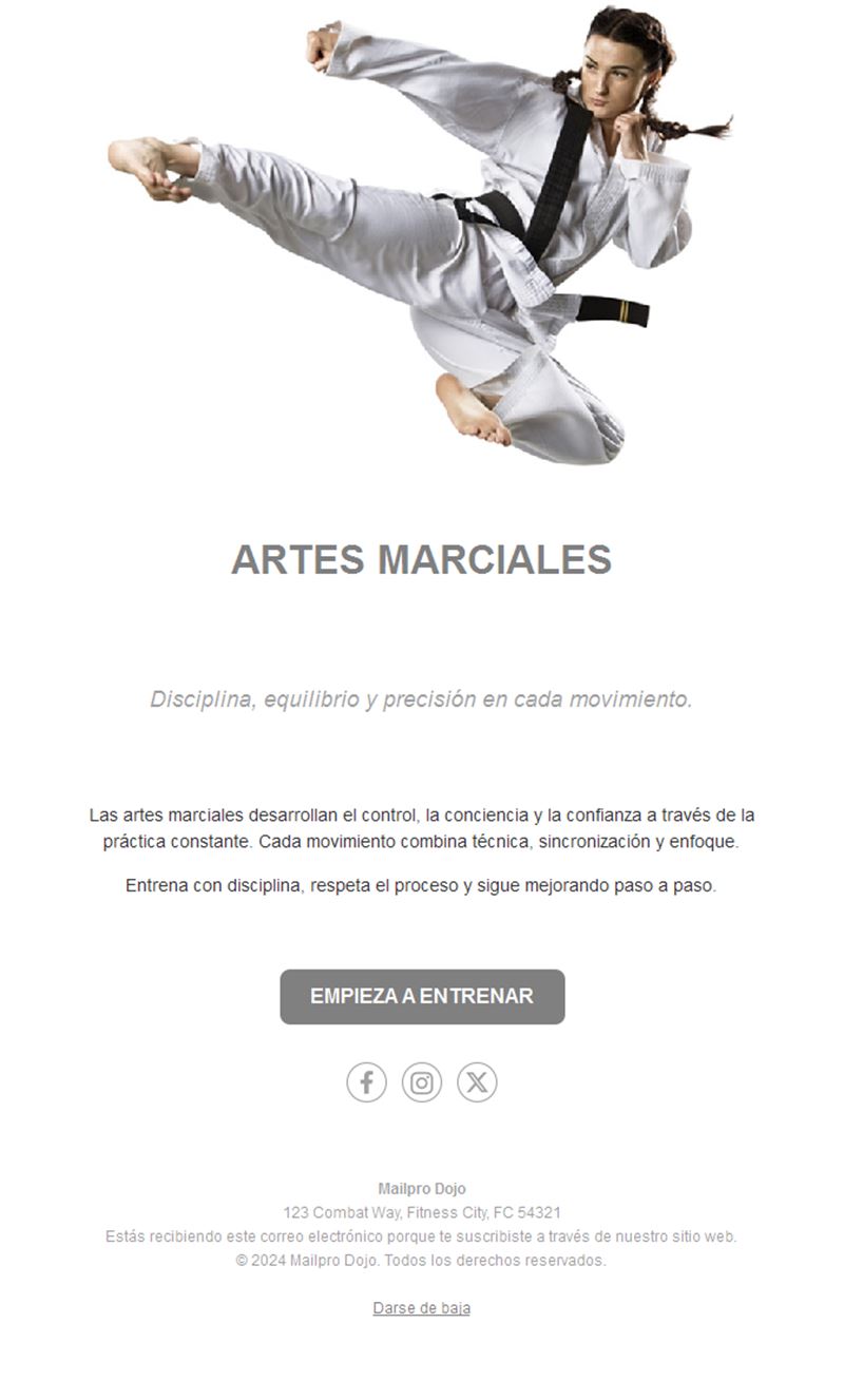 Email blanco de dojo de kárate