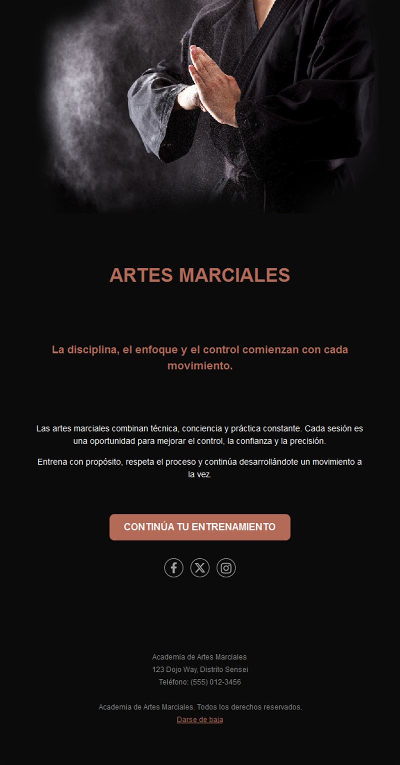 Email negro de academia de artes marciales