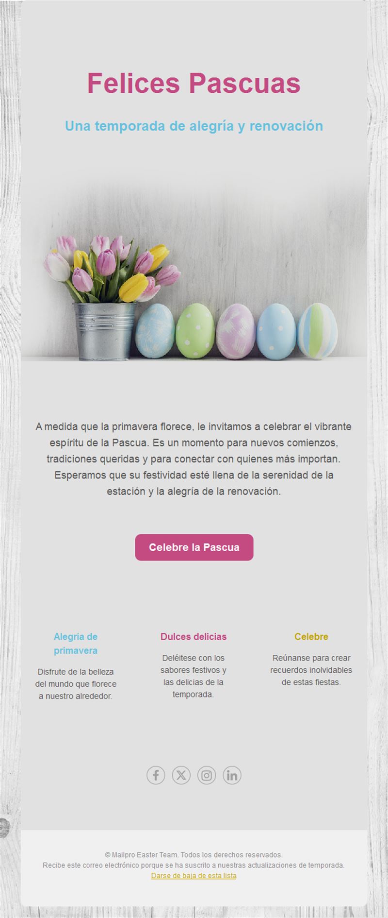 Email de Pascua con huevos pastel y tulipanes