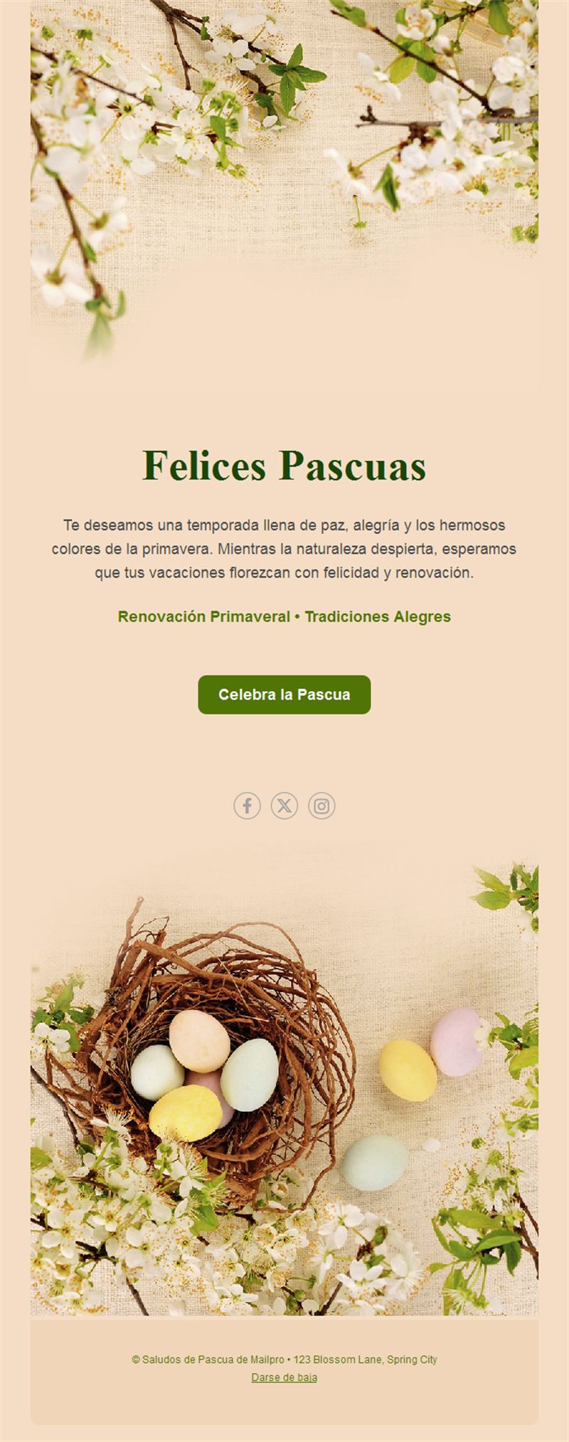 Email de Felices Pascuas con flores de primavera