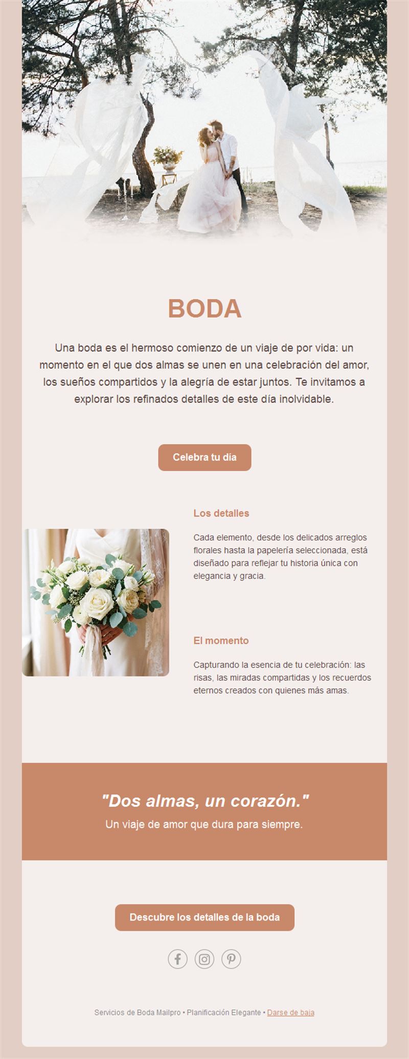 Email elegante de boda en terracota
