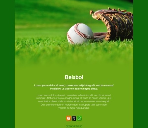 Béisbol para aficionados