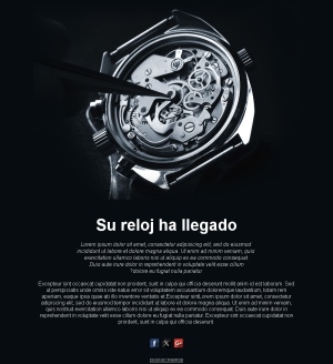 Lanzamientos y colecciones de relojes