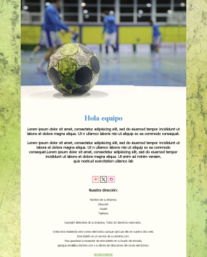 Handball Emoción