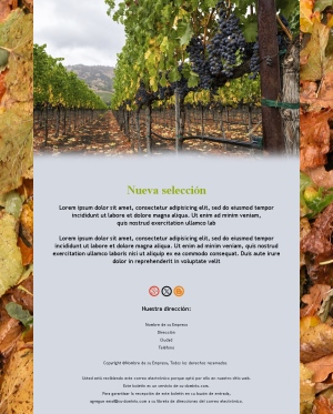 Plantillas elegantes para bodegas