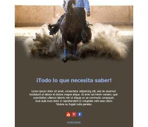 Equitación Elegante