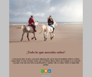 Equitación Elegante