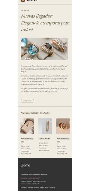 Plantilla de Joyería Premium