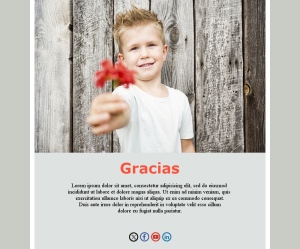 Plantilla Email Agradecimiento Cliente