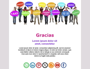Plantilla de Email de Gracias