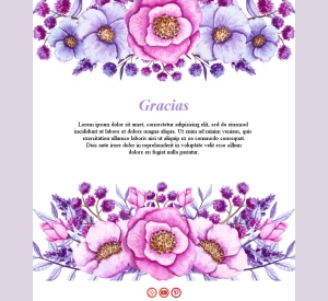 Gracias por estar con nosotros