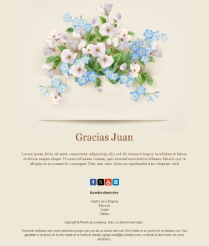 Plantilla Email Gracias Suscribirse
