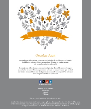 Plantilla Correo Agradecimiento