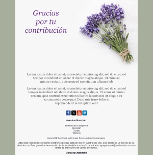 Plantilla Email Gracias Equipo