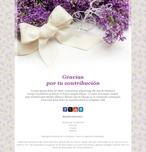 Plantilla Email Gracias Apoyo