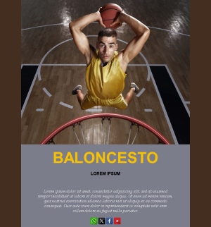 Basketball Fans Newsletter
