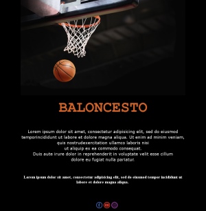 Basketball Fans Email