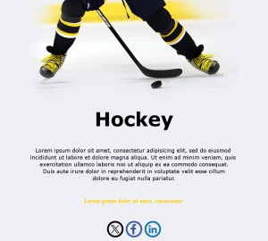 Correo Boletín Hockey