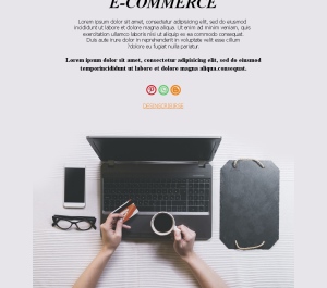 Promociones Online