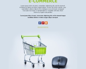 Ventas Online