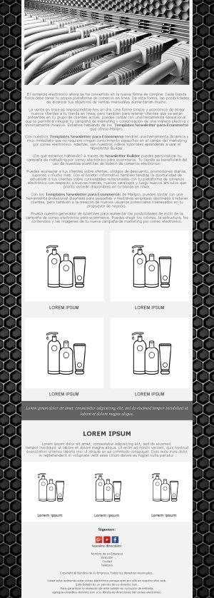 IT Company Newsletter