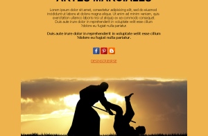Artes Marciales Pro