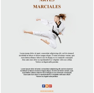 Emails de Artes Marciales
