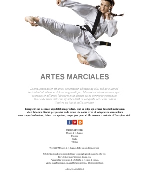 Artes Marciales Inspiración
