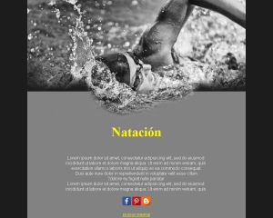 Club de Natación News