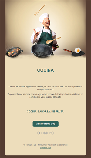 Email divertido de chef para blog de cocina