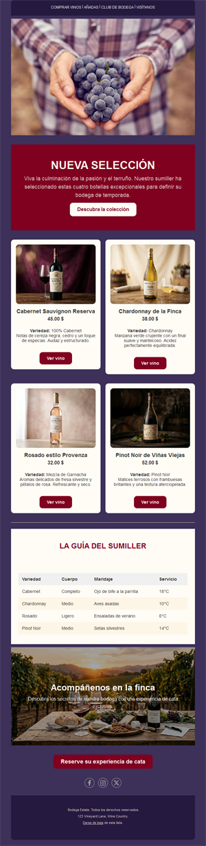 Newsletter burdeos de selección de vinos