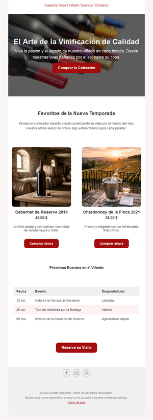 Newsletter de bodega con eventos en el viñedo