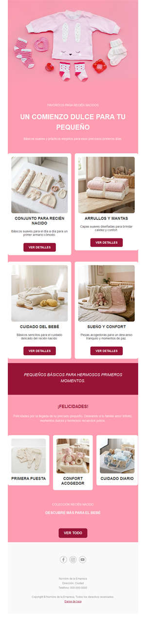 Newsletter rosa de tienda de bebé