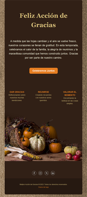 Email de Acción de Gracias con cornucopia