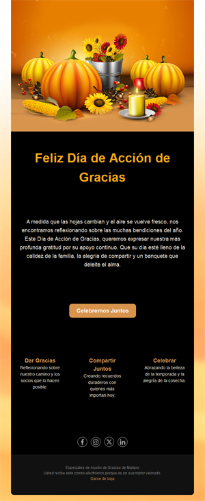Email de Acción de Gracias con calabazas