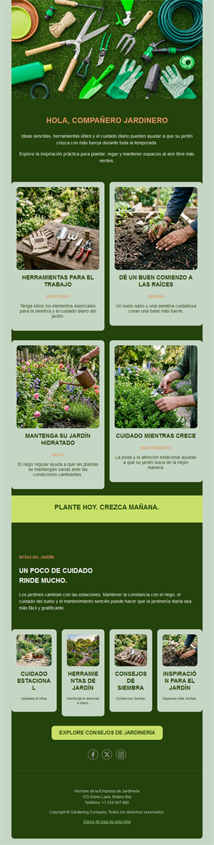 Newsletter guía de cuidado del jardín